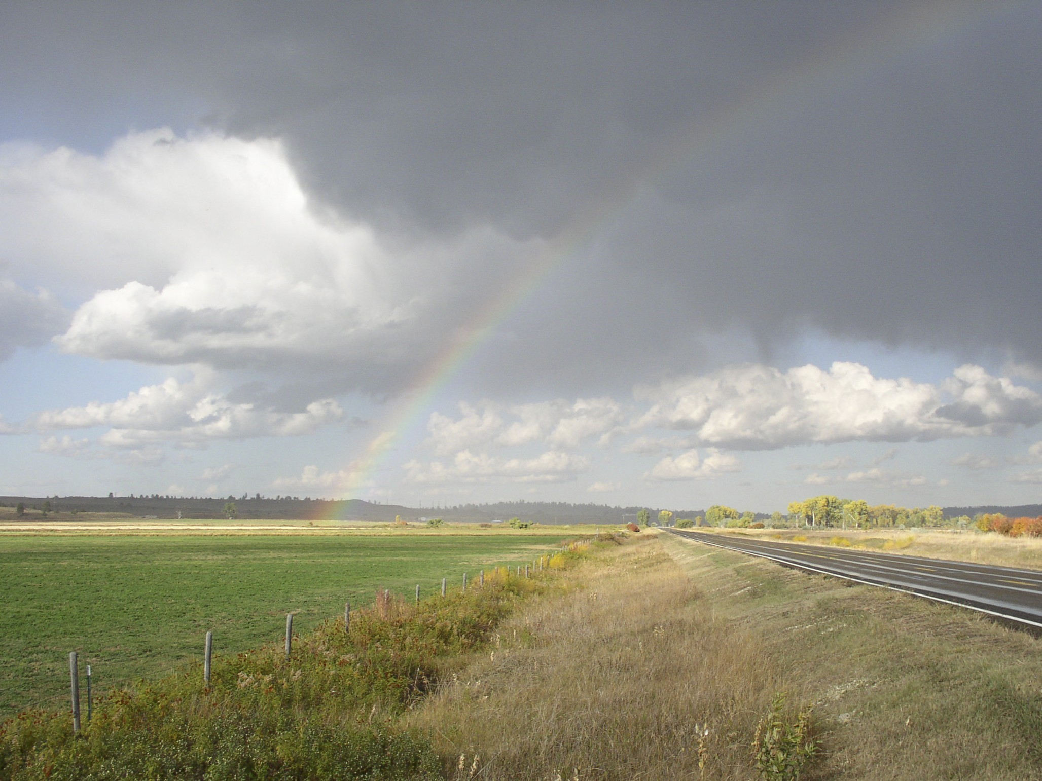 Forage Matters: Silver linings, optimism during dry weather events